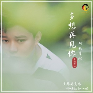 多想再见你 (伴奏)