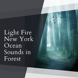 Sweet Dreams with Fire Light