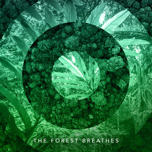 The Forest Breathes