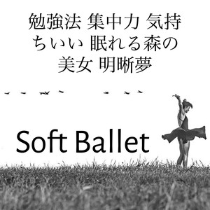 Soft Ballet - 勉強法 集中力 気持ちいい 眠れる森の美女 明晰夢