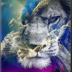 From A Sheppard To A King (Freestyle)