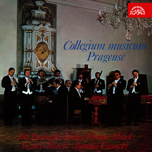 Concerto in D Major - I. Allegro maestoso