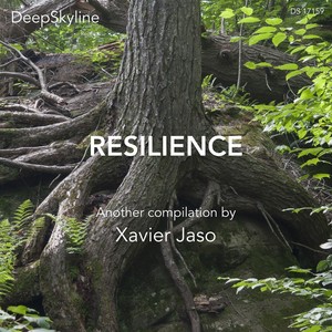 Resilience