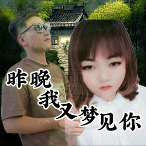 昨晚我又梦见你 (伴奏)