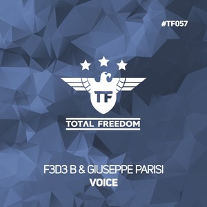Voice (Original Mix)
