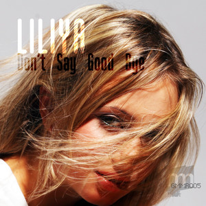 Don't Say Good Bye (Mark Salies Remix)