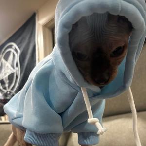 If i was in love (Sped Up)