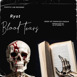 Blood Tears (Book Of Promises) (feat. Ryot) (Explicit)