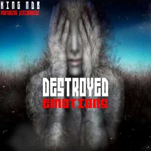 Destroyed Emotions (feat. Visionaries)