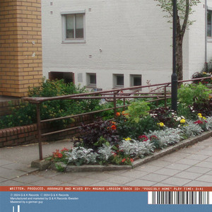 Magnus Larsson - Possibly Home