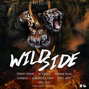 Wild Side (AllStar) (feat. Alberto La Para, Nitto MTG, Chireno, Tnor Tnor, Aris La D & Jn Kenzy) (Explicit)