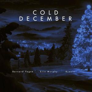 Cold December (feat. Erin Murphy)