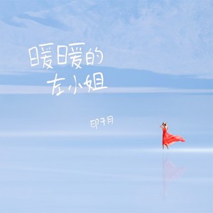 暖暖的左小姐封面