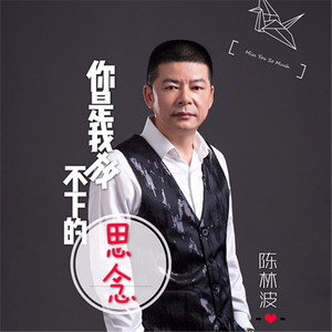 你是我放不下的思念 (DJ版)