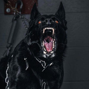 Talking that talk 3 (Explicit)