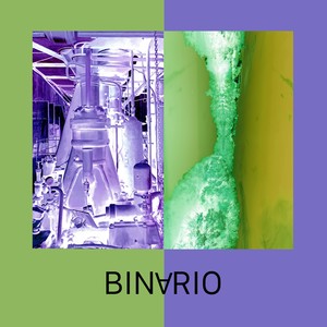 Binario