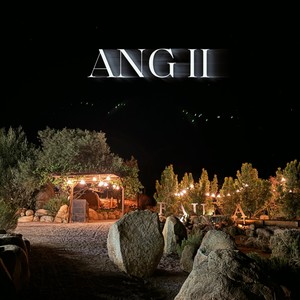 ANG II