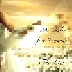Mr. Vaulin - The One (Original Mix)