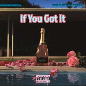 If You Got It (feat. Bkabylutha) [Explicit]