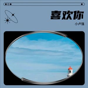 喜欢你（王觉版） (小卢强 remix) (Remix)