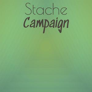 Stache Campaign