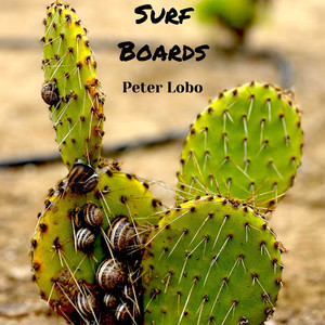 Surf Boards (Explicit)