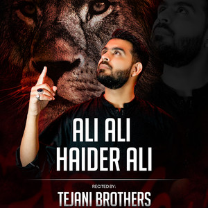 Ali Ali Haider Ali