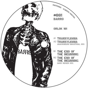 The end of the beginning (David Meiser Remix)