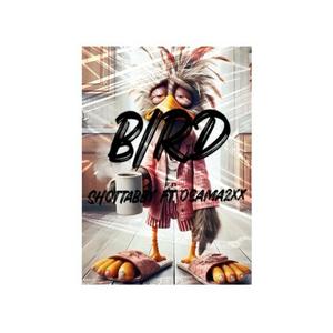 Bird (feat. Osama2x) (Explicit)