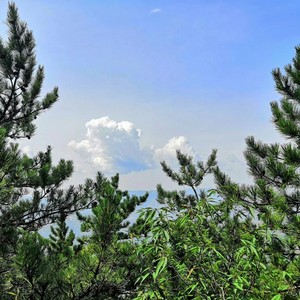 LADYTIM - 来来走走