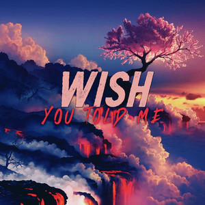 Wish You Told Me (Explicit)