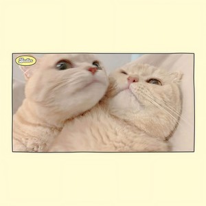 贴贴 (Single Version)