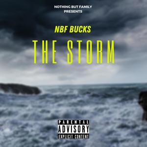 The Storm (Explicit)