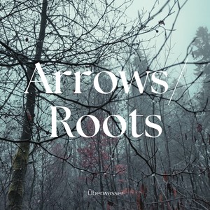 Arrows / Roots