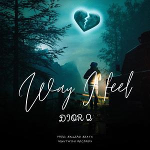 WAY I FEEL (feat. DIOR Q) (Explicit)