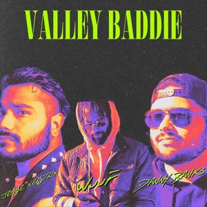 Valley Baddie (feat. Danny Banks & WuuF) [Explicit]