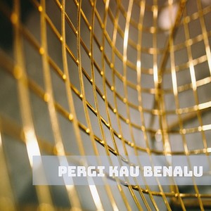 Pergi kau benalu