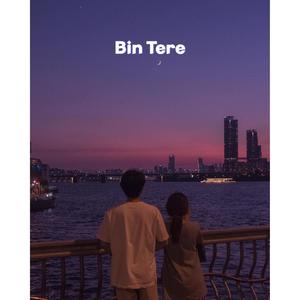 Bin Tere (feat. Vaishnav Gireesh)