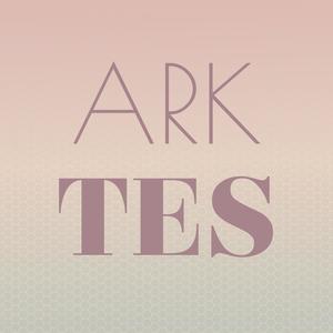 Ark Tes