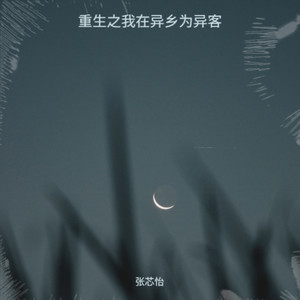 重生之我在异乡为异客