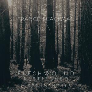 Fleshwound Restitched (The Remixes) [Instrumental Version]