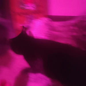 inside out (feat. dirtgod) (Explicit)