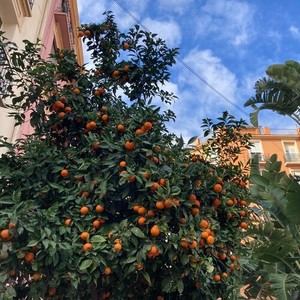 Paulina - Let Me Down