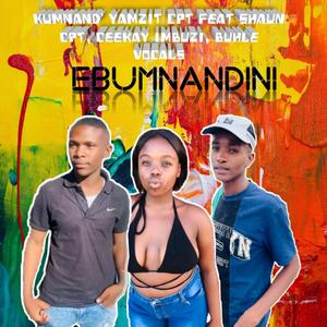 Ebumnandini (feat. Ceekay RSA, Buhle Vocals & Shaun CPT) (Explicit)