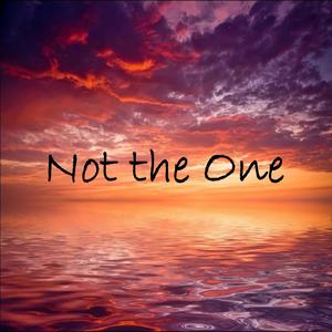 Not the One (feat. Perish) [Explicit]