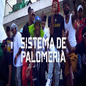 Sistema de Palomeria (Explicit)