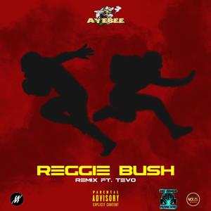Reggie Bush (feat. Tevo Jordan) (Remix|Explicit)