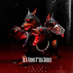 As A Young Nigga Should (feat. Cmitch) (Explicit)