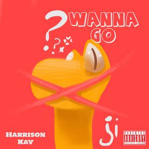 Wanna Go (Explicit)