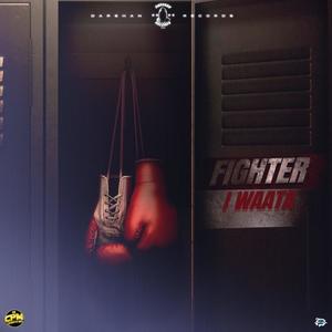 fighter (feat. IWAATA)